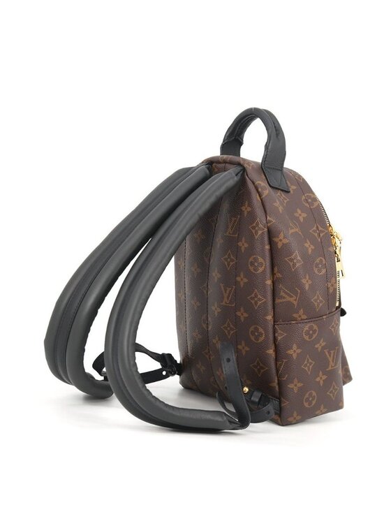 Louis Vuitton Backpack Palm Springs PM main image 10